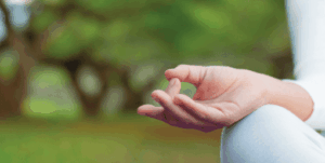 Yoga-Lawn.png
